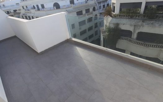 Duplex moderne avec Terrasses Racine