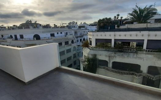 Duplex moderne avec Terrasses Racine