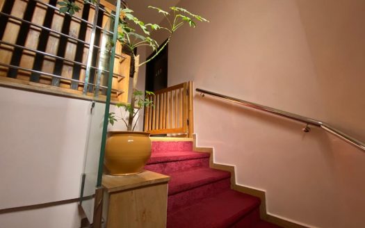 Vente Grand Duplex 4 Chambres Racine